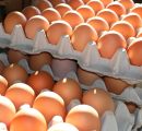 Fipronil gevonden in geïmporteerde Poolse eieren