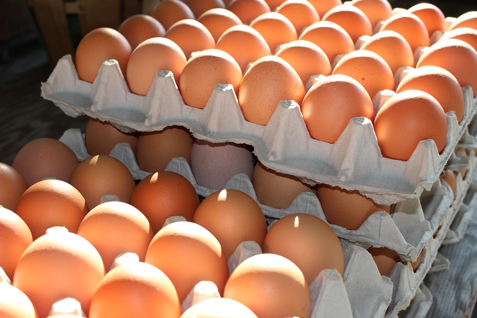 Fipronil gevonden in geïmporteerde Poolse eieren