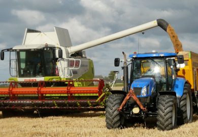 Inkomsten landbouwsector stijgen
