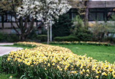 Leven in een groenere wijk? Zo zorg je daarvoor!